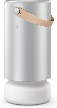 Molekule Air Pro Air Purifier