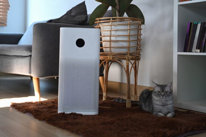 Air purifier in a home living room