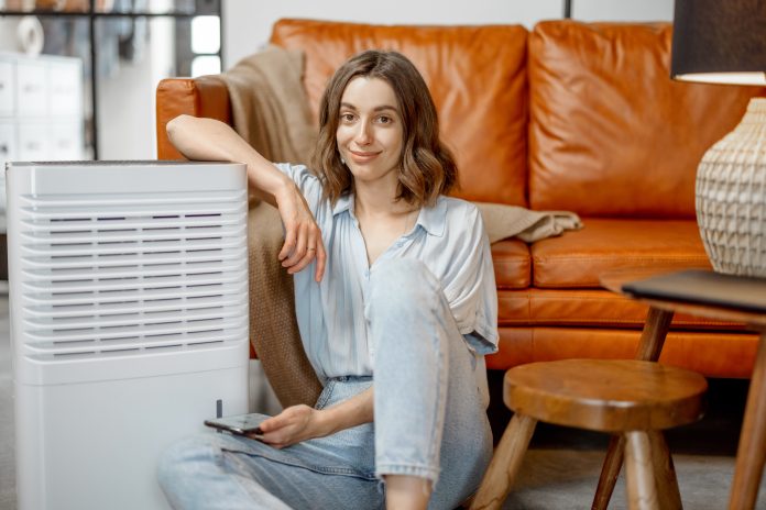 Compact portable dehumidifier unit