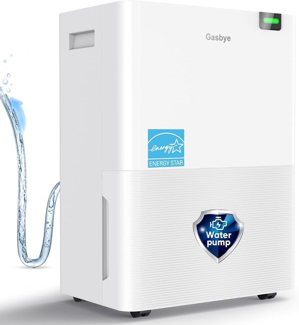 Gasbye dehumidifier with a removable replaceable pump for a basement