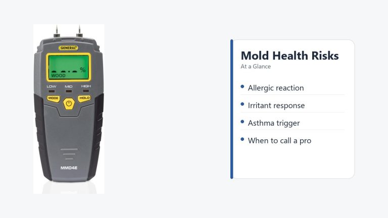 Is Mold in Your Home Dangerous? Symptoms, Health Risks & When to Call a Professional