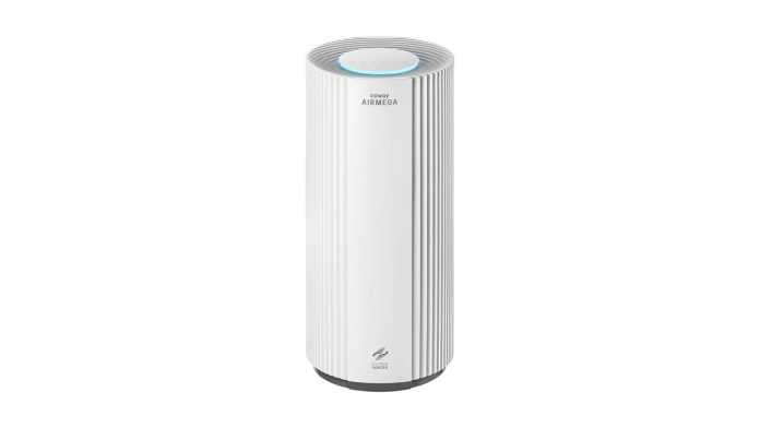 A single tall air purifier for a large open-plan living room