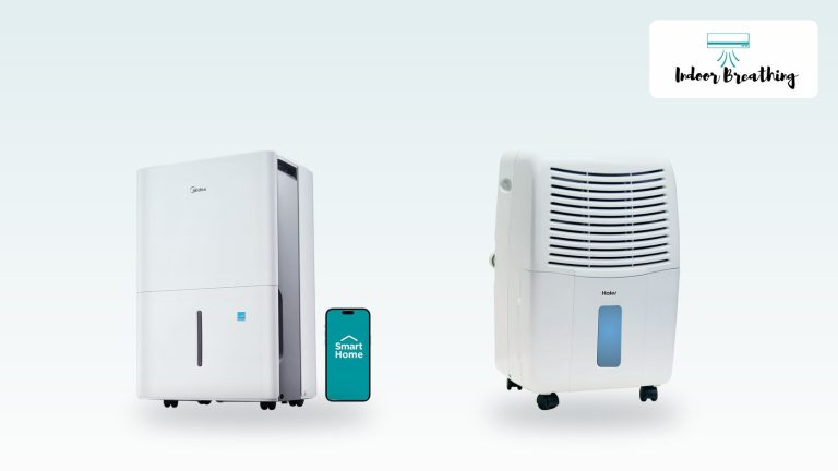 30-pint dehumidifiers for a damp room