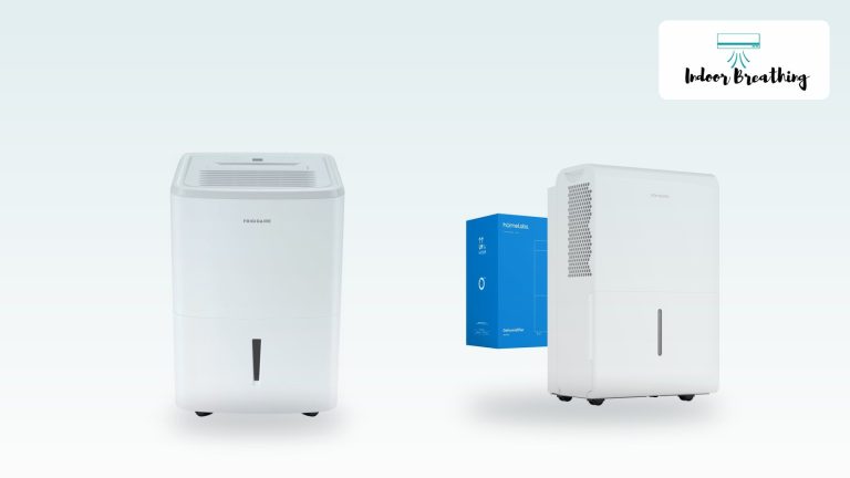 50-pint dehumidifiers for large damp spaces