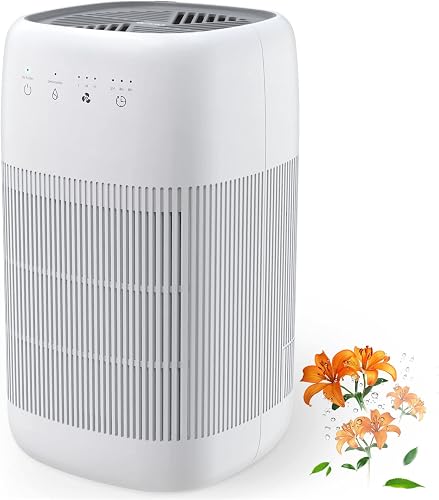 Afloia Air Purifier and Dehumidifier in 1 (T8 Plus)