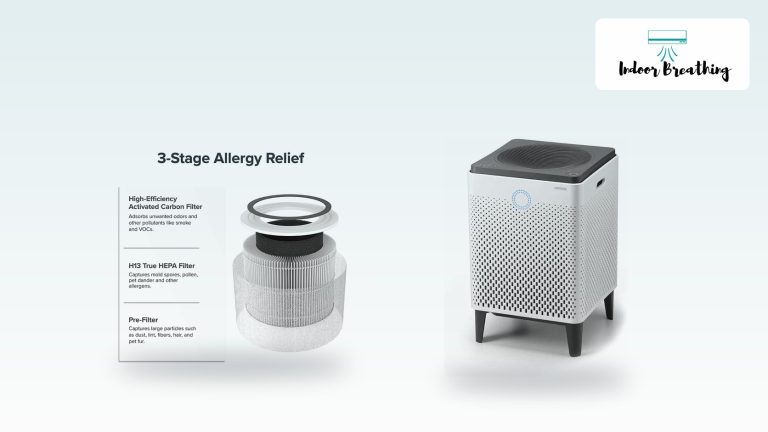 Air purifier and filter