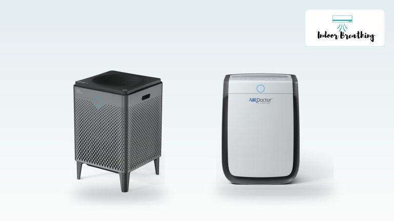 Air purifiers for basement smell and mold