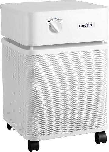 Austin Air HealthMate Standard B400