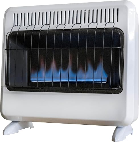 Mr. Heater 30,000 BTU Vent-Free Blue Flame Heater