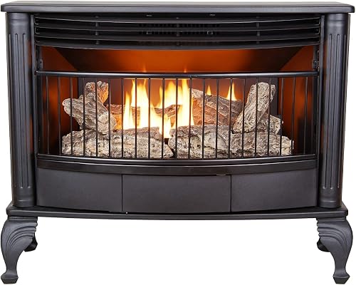 ProCom Ventless 25,000 BTU Dual Fuel Fireplace