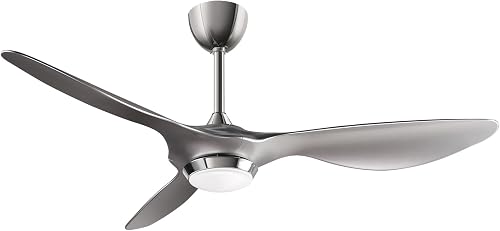 reiga 52-Inch Smart DC Ceiling Fan with Light