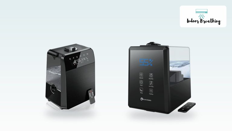 TTLIFE 6L Warm and Cool Mist Humidifier Review: Claims Checked