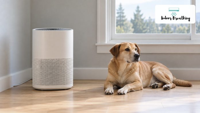 Air purifier in a living room with a dog resting beside it